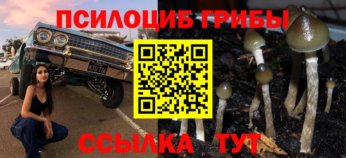 Галлюциногенные грибы Cubensis  Вход с VPN  Ухта 