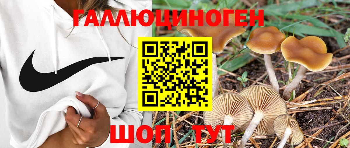 Галлюциногенные грибы мицелий Ухта